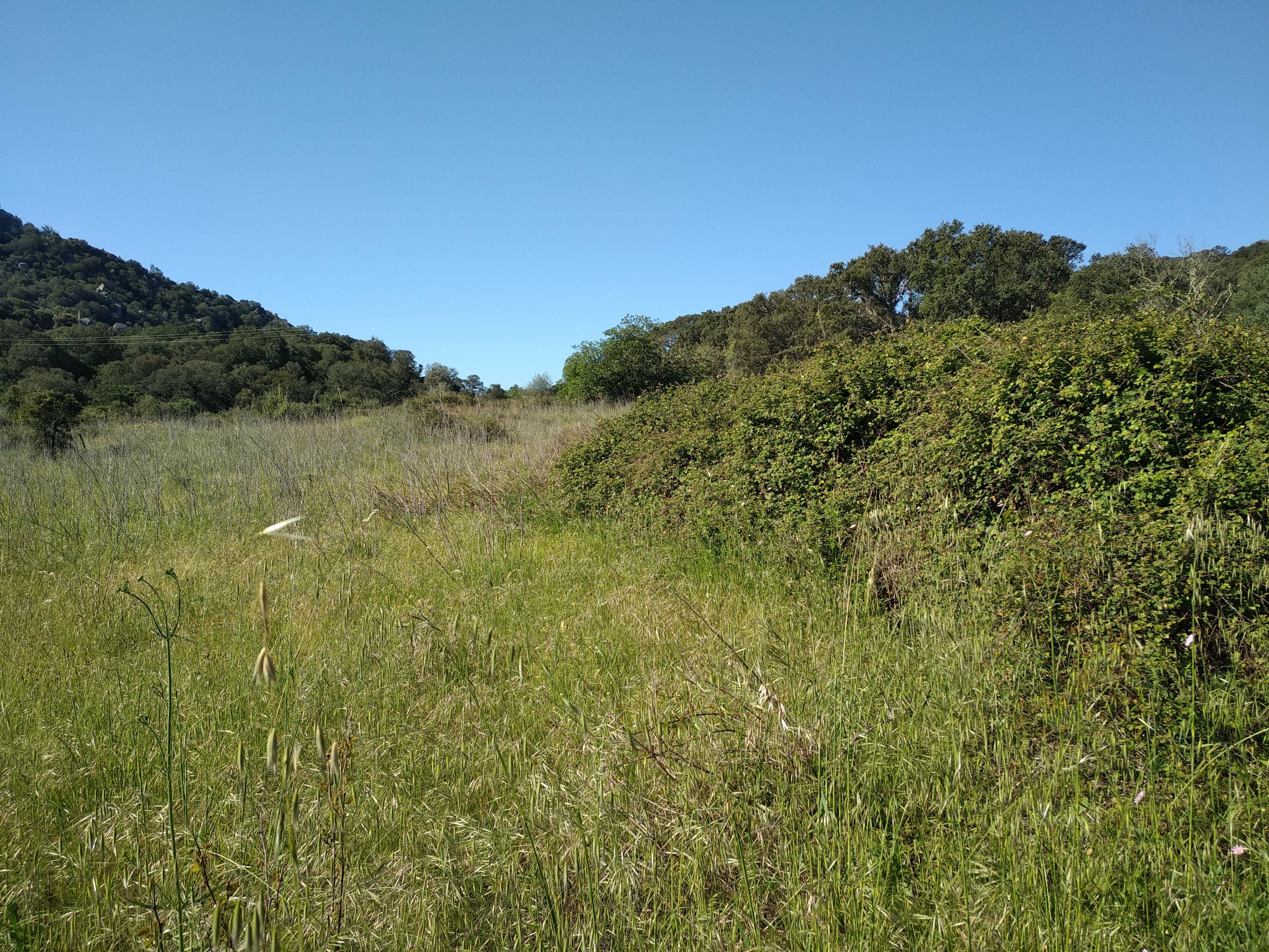 Photo n° 4 de l'avis de Jean-Paul.a fait le 17/06/2019 à 12:17