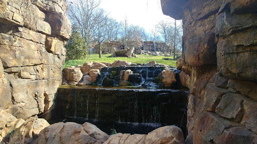 Zoo «Nashville Zoo at Grassmere», reviews and photos, 3777 Nolensville Pike, Nashville, TN 37211, USA