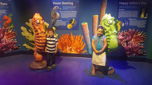 Aquarium «Newport Aquarium», reviews and photos, 1 Aquarium Way, Newport, KY 41071, USA