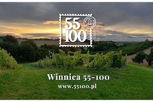 Winnica 55-100 image