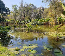 Tsimbazaza Zoo and Botanical Gardens photo