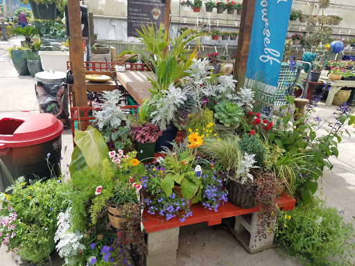 Hardware Store «Hagan Ace Hardware», reviews and photos, 12501 San Jose Blvd, Jacksonville, FL 32223, USA