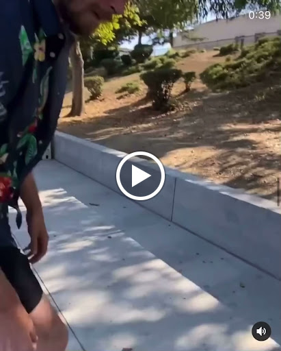 Coyote Skateboard Lessons Surf Lessons Venice Beach Santa Monica Los Angeles image