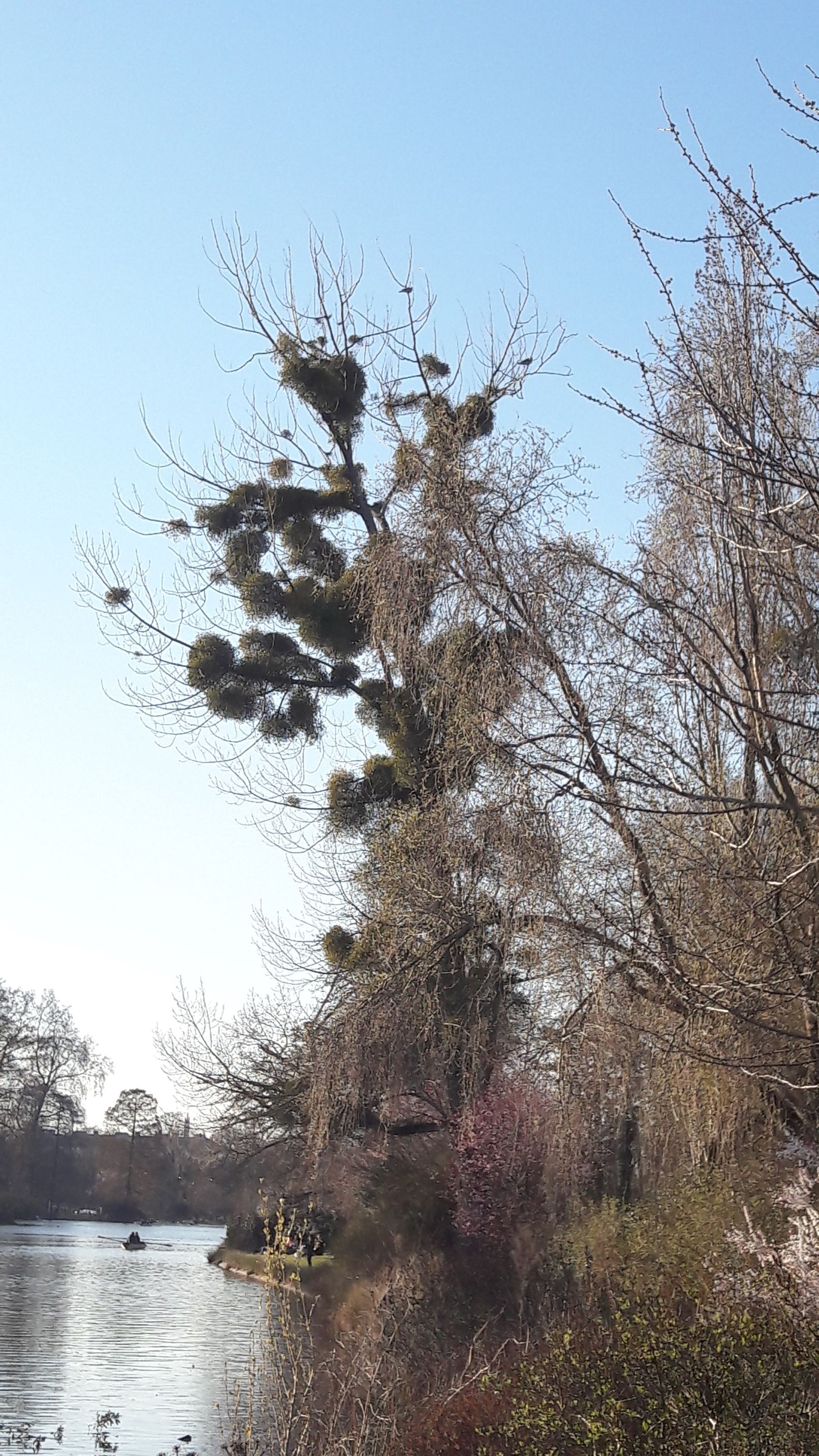 Photo n° 6 de l'avis de Jean-François.e fait le 06/03/2021 à 23:43