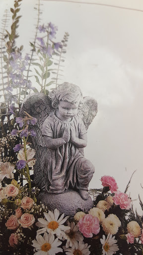 Florist «Colorado Springs Florist», reviews and photos, 125 E Boulder St, Colorado Springs, CO 80903, USA