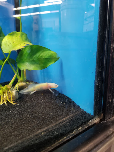 Pet Supply Store «Petco Animal Supplies», reviews and photos, 1465 Woodbury Ave, Portsmouth, NH 03801, USA