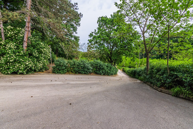 7571 Васил Левски