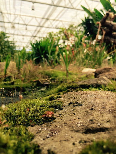 Botanical Garden «Roger Williams Park Botanical Center», reviews and photos, 1000 Elmwood Avenue, Providence, RI 02905, USA