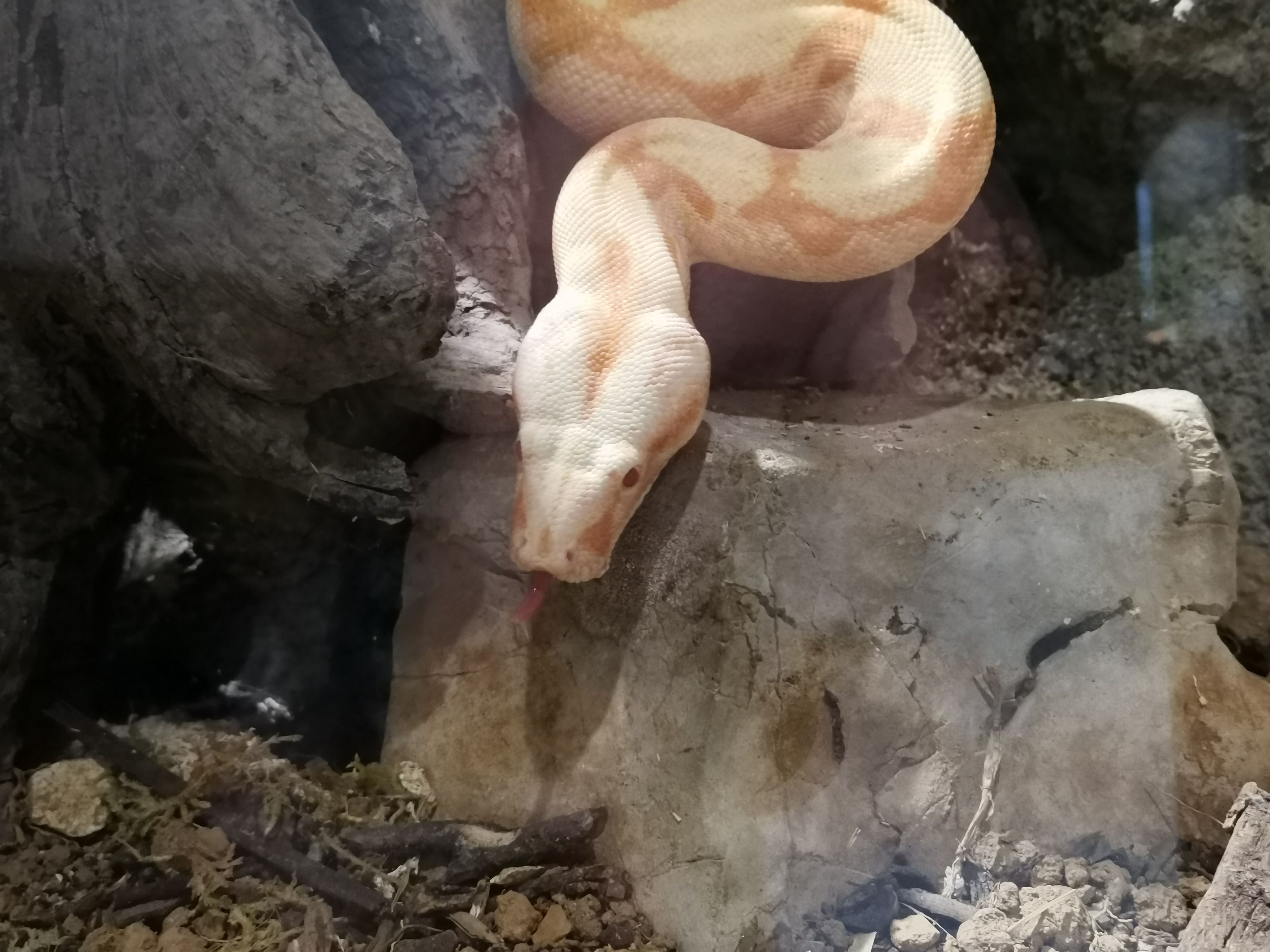 Photo n° 12 de l'avis de Jerome.a fait le 23/10/2021 à 18:04