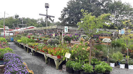 Garden Center «Nalls Produce», reviews and photos, 7310 Beulah St, Alexandria, VA 22315, USA