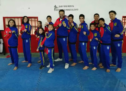 Escuela de Taekwondo Olimpico y Parataekwondo Taebomkwan