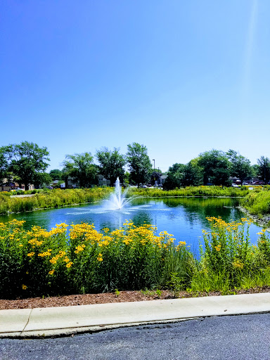 Supermarket «ALDI», reviews and photos, 3231 W 87th St, Evergreen Park, IL 60805, USA