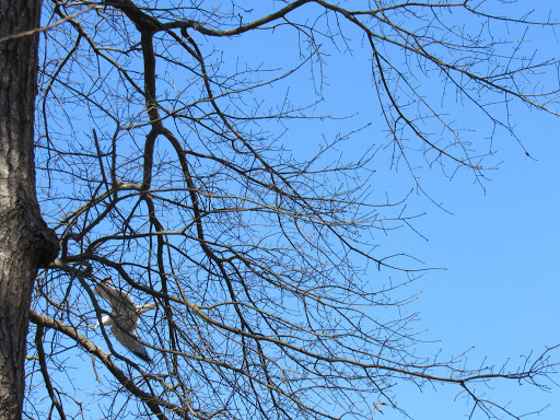 Public Golf Course «Newport News Golf Club at Deer Run», reviews and photos, 901 Clubhouse Way, Newport News, VA 23608, USA