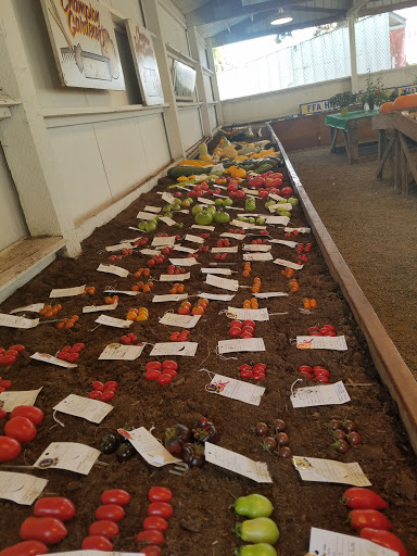 Fairground «Clackamas County Fairgrounds», reviews and photos, 694 NE 4th Ave, Canby, OR 97013, USA