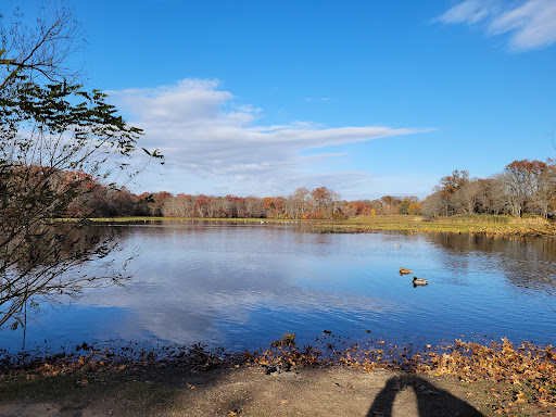Nature Preserve «Twin Lakes Preserve», reviews and photos, Park Ave, Wantagh, NY 11793, USA