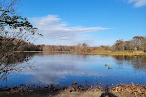 Twin Lakes Preserve image