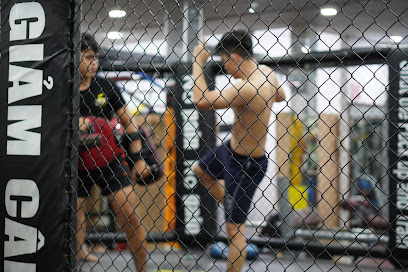 Like5 - Gym Boxing Muay Thai Mma Kickboxing