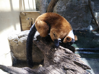 Small Mammal House