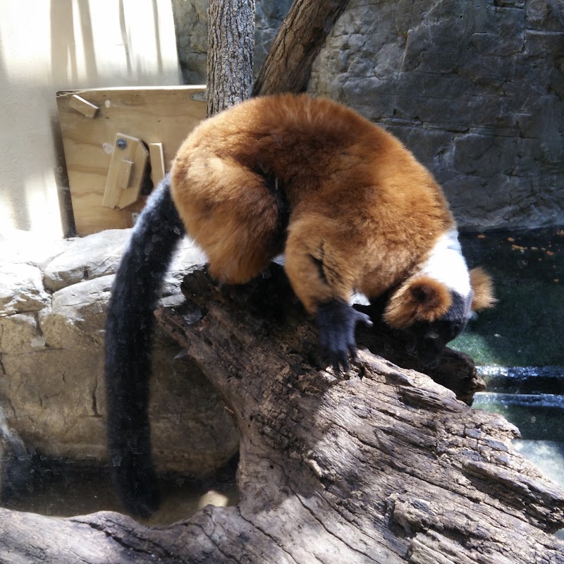 Small Mammal House