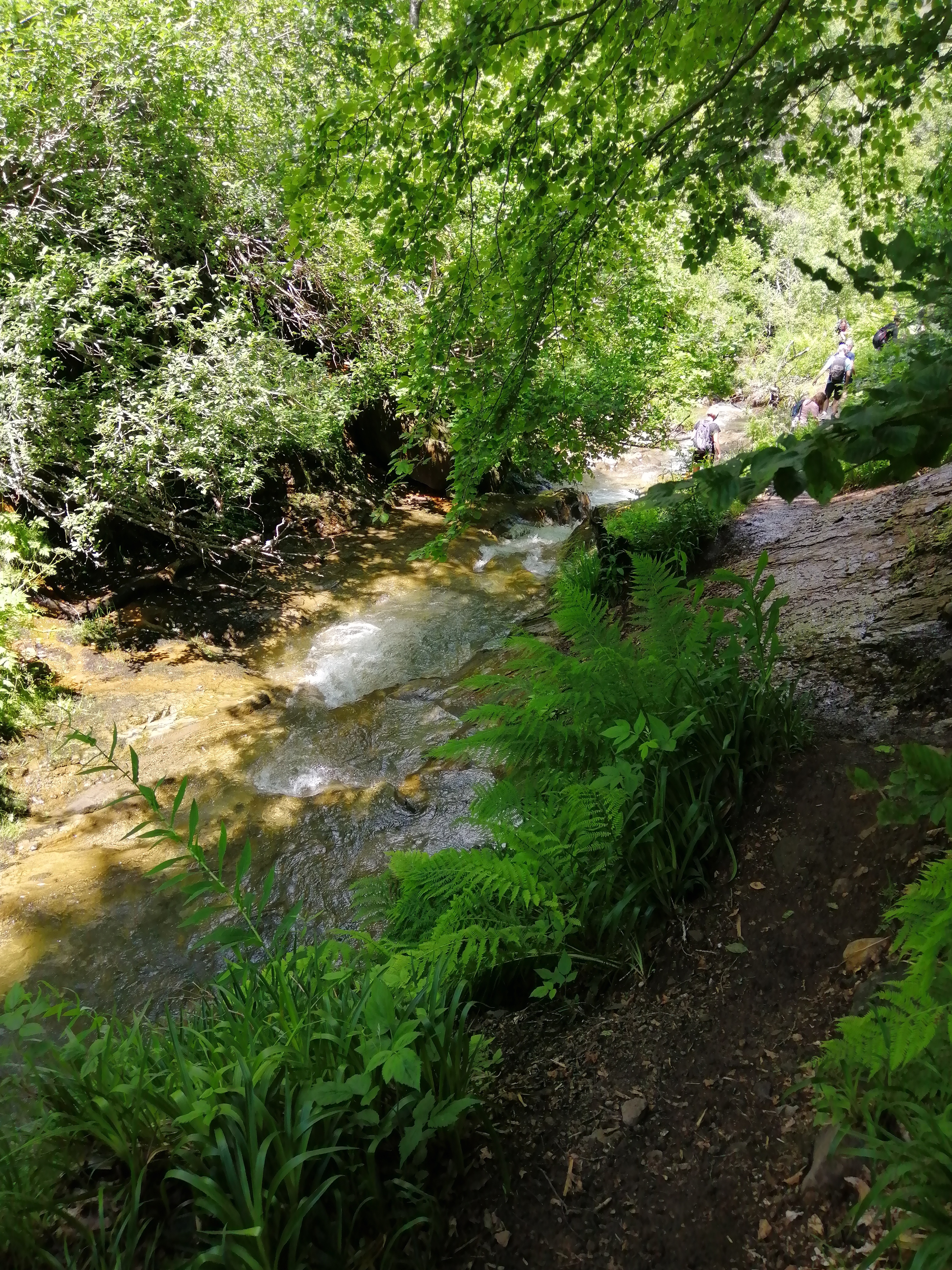 Photo n° 2 de l'avis de benoit.a fait le 12/07/2021 à 14:14