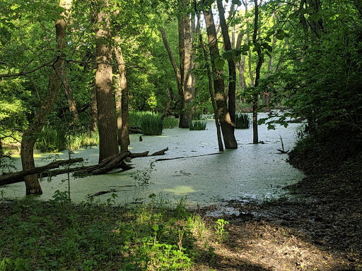 Nature Preserve «Bemis Woods», reviews and photos, 1100 Ogden Ave, Westchester, IL 60154, USA