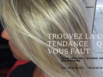 Celia Coiffure 2 AVENUE JULES GUESDE 93240 STAINS