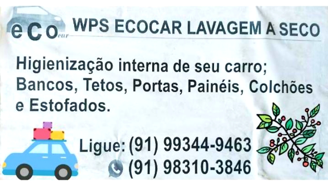 WPS Ecocar Lavagem à Seco.