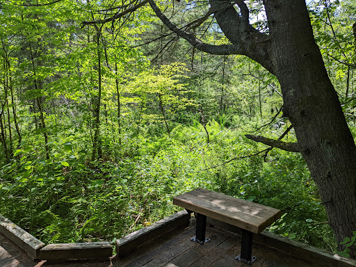 Nature Preserve «Eshqua Bog Natural Area», reviews and photos, Garvin Hill Rd, Woodstock, VT 05091, USA