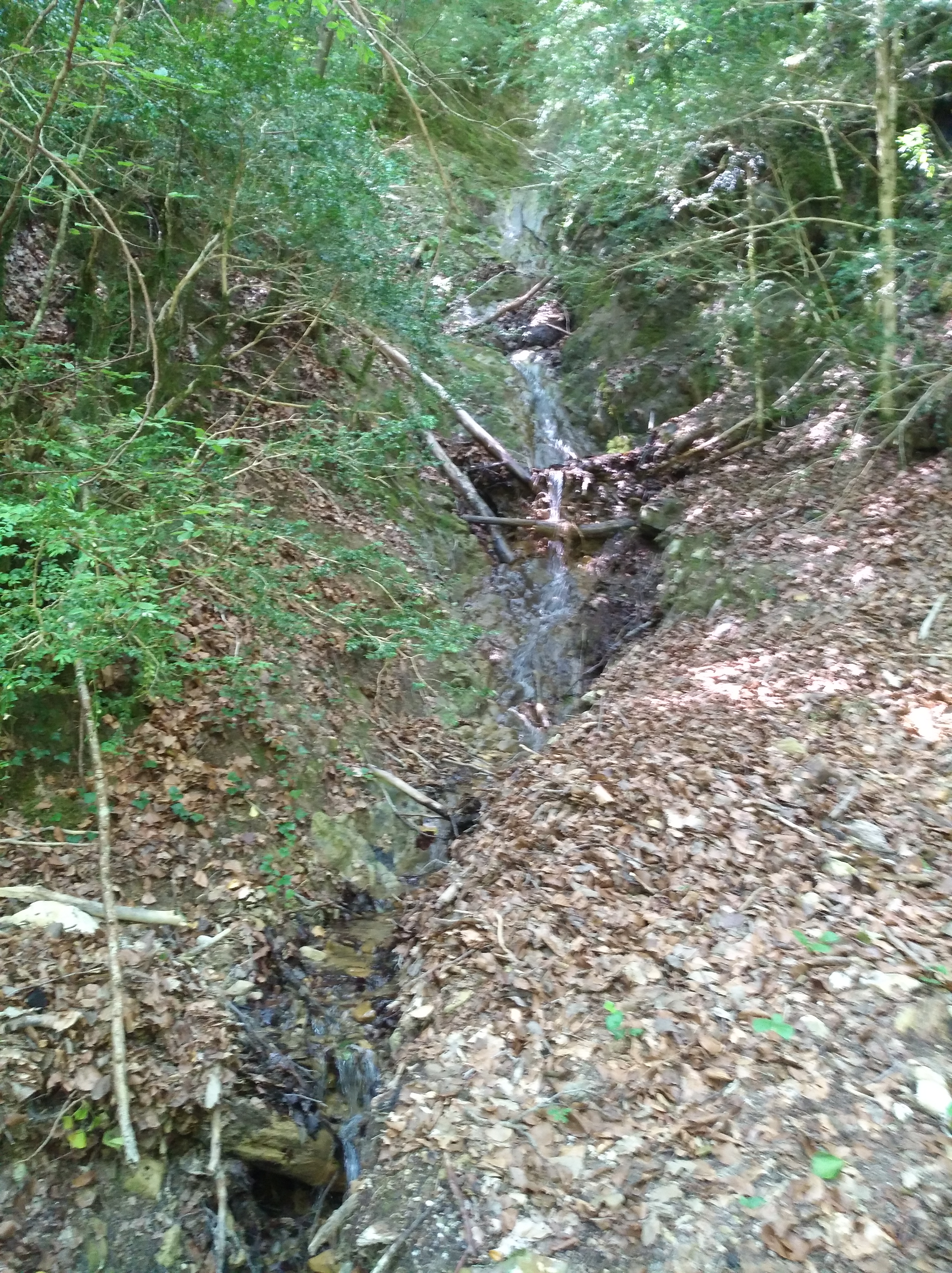 Photo n° 28 de l'avis de Nadine.o fait le 17/07/2018 à 15:02