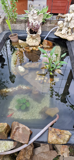 Aquaristikzoo Fröhlich unter Wipperfürth, 