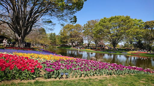 Showa Kinen Park Barbecue Garden