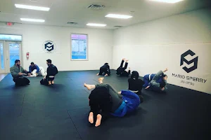 Mario Sperry Jiu-Jitsu of Ohio image