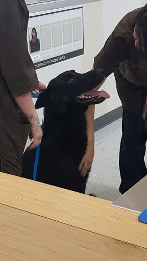 Pet Supply Store «Petco Animal Supplies», reviews and photos, 11398 Bandera Rd #403, San Antonio, TX 78250, USA