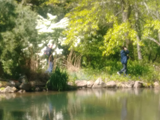 Gift Shop «Stonehedge Gardens», reviews and photos, 51 Dairy Rd, Tamaqua, PA 18252, USA