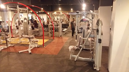 Ojhar Fitness Zone - 3WXF+2RX, Ojhar Fitness Zone, Bhagwati Shopping Center, near R.K. Memorial Hospital, mig, Ojhar, Maharashtra, India