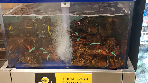 Grocery Store «Trenton Marketplace», reviews and photos, 1007 Bar Harbor Rd, Trenton, ME 04605, USA