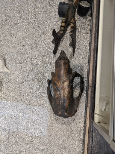 Museum «Phosphate Museum», reviews and photos, 101 SE 1st St, Mulberry, FL 33860, USA