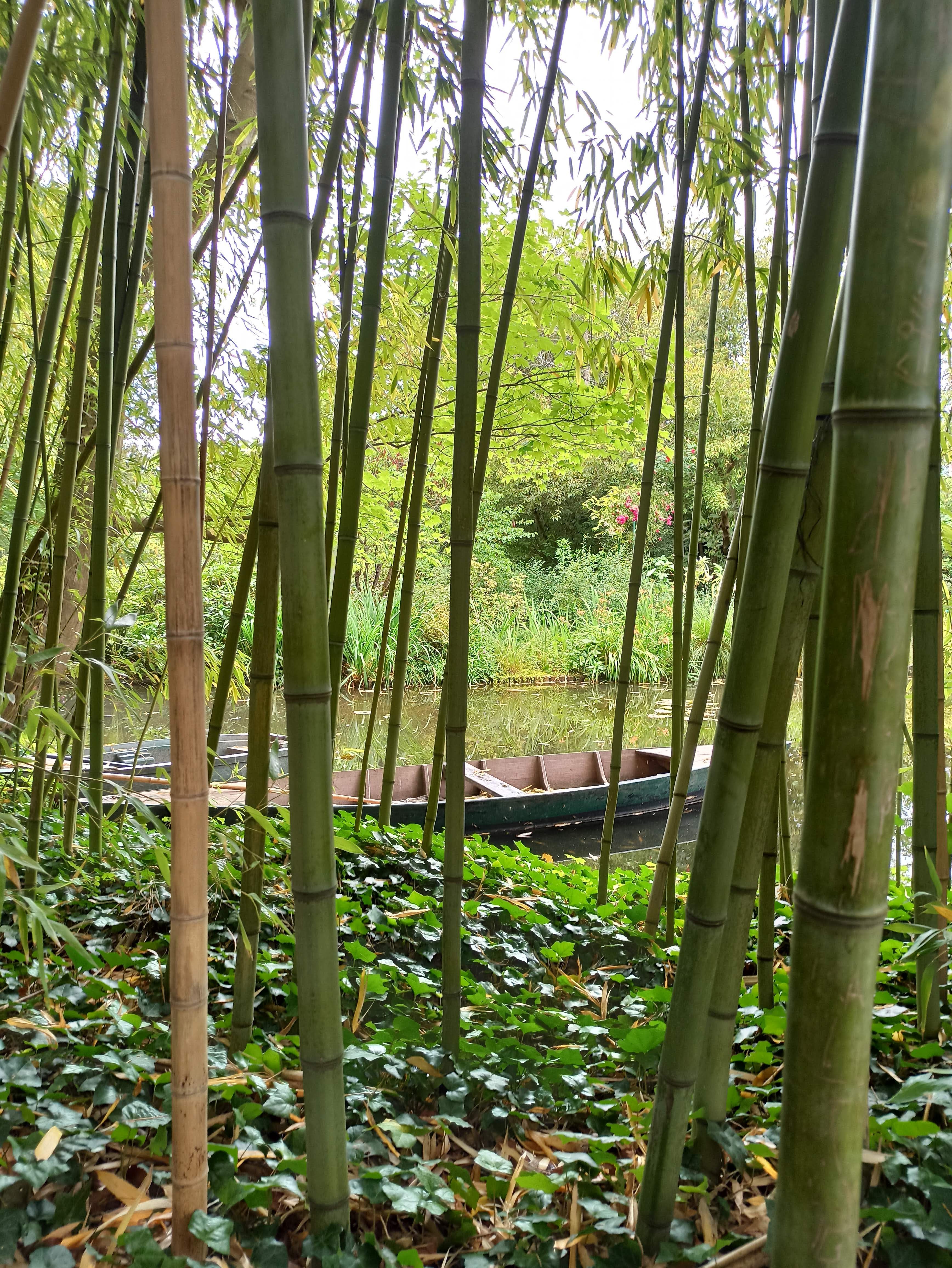 Photo n° 4 de l'avis de flo.a fait le 22/06/2020 à 13:02