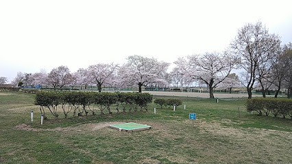 秋ヶ瀬運動公園・パークゴルフ場Ａコース