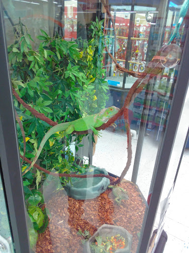 Pet Supply Store «Petco Animal Supplies», reviews and photos, 2541 NW Arterial, Dubuque, IA 52002, USA