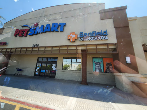 Pet Supply Store «PetSmart», reviews and photos, 9960 N 91st Ave, Peoria, AZ 85345, USA