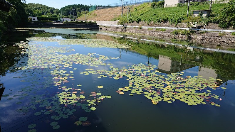 上野公園調水