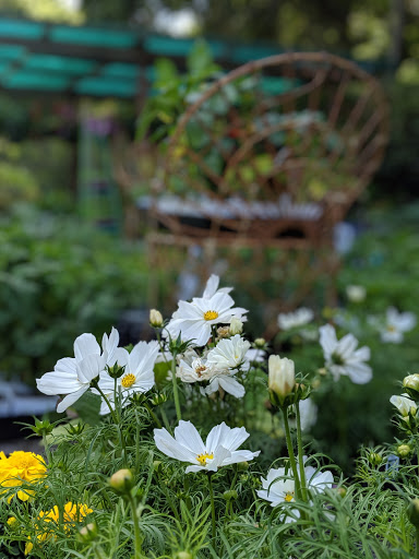 Garden Center «Ladera Garden & Gifts», reviews and photos, 3130 Alpine Rd #380, Portola Valley, CA 94028, USA