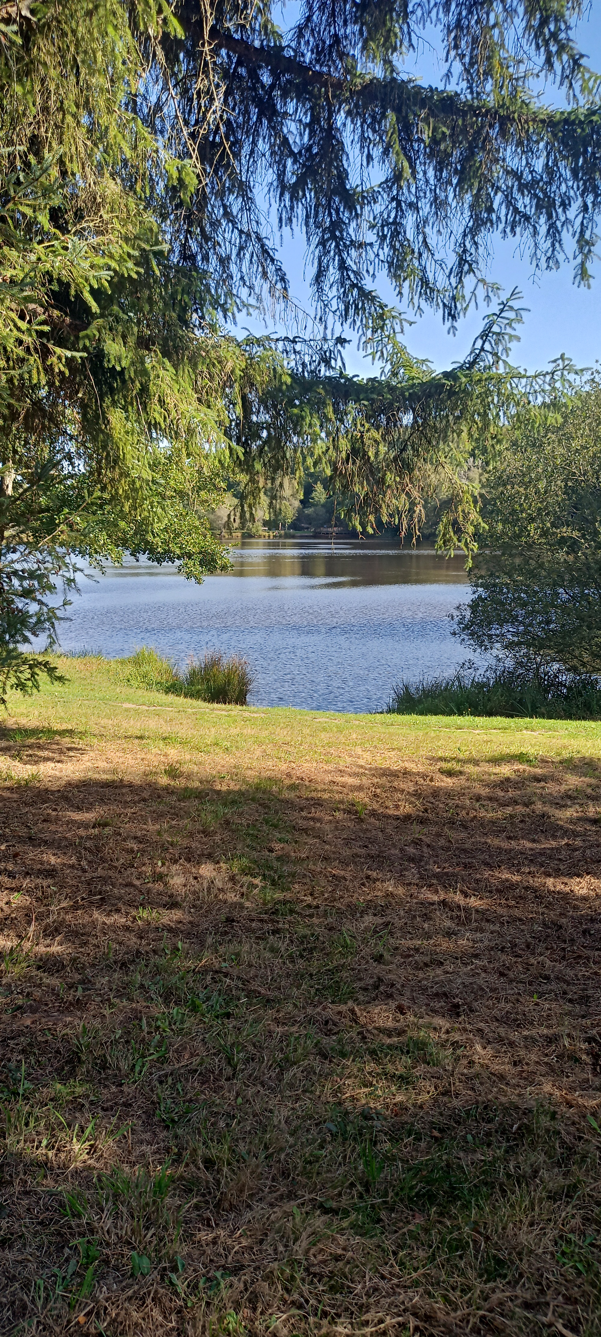 Photo n° 5 de l'avis de Angélique. fait le 08/10/2023 à 19:26