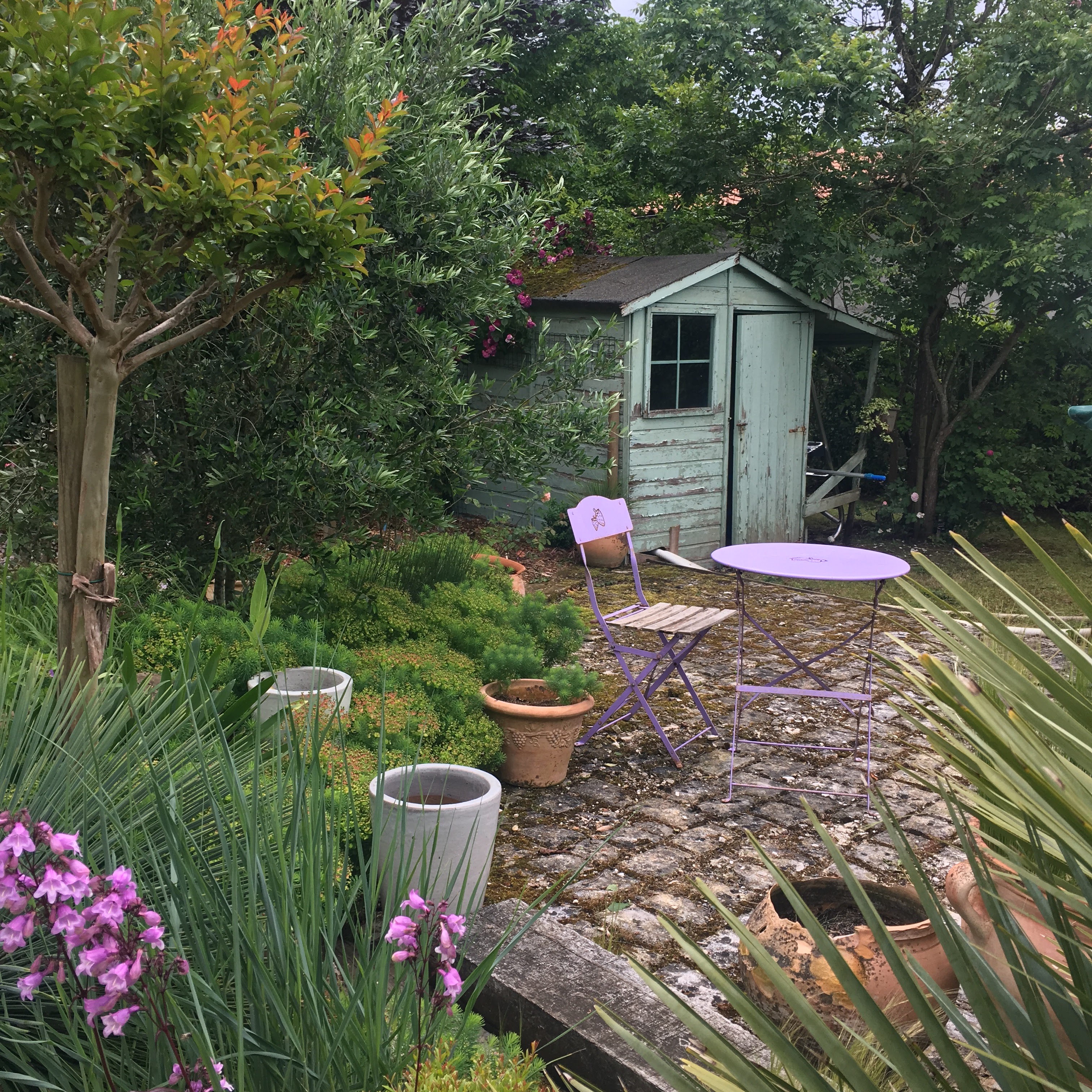 Photo n° 2 de l'avis de SUZANNE.C fait le 13/07/2019 à 09:26