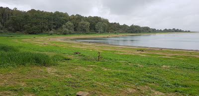 La Cornée du Der à Éclaron-Braucourt-Sainte-Livière