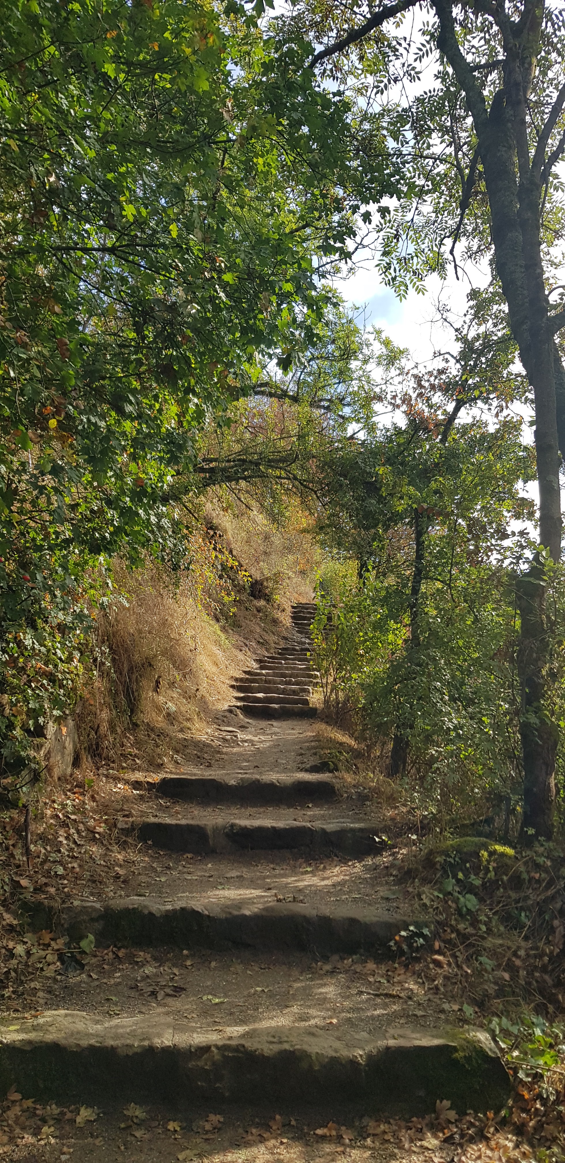 Photo n° 13 de l'avis de Nadine.a fait le 05/10/2021 à 15:20