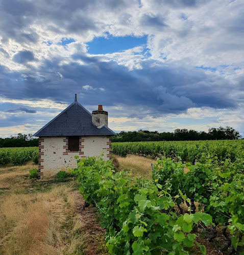 Loire Wine Tours à Chançay