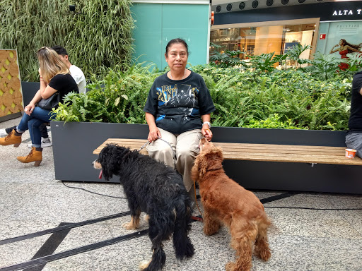 Cuidador de mascotas Naucalpan de Juárez