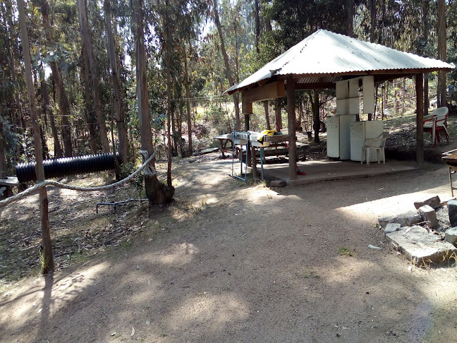 Opiniones de Camping Sombras Del Valle. en Quintero - Camping